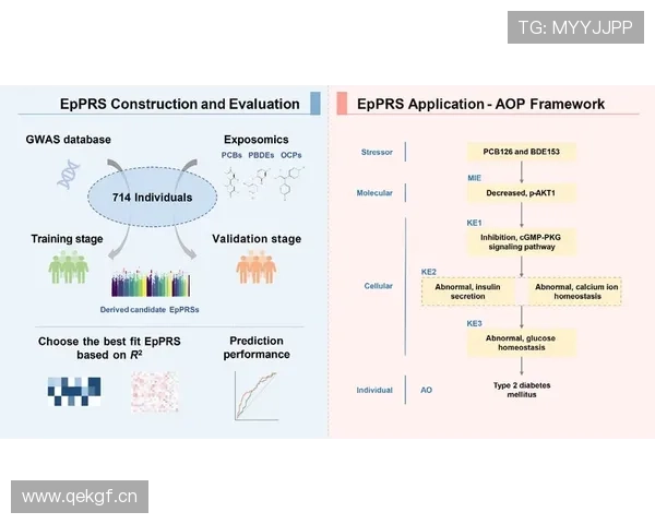 围绕体育采集安全词构建智能风控与内容合规新体系实践路径研究